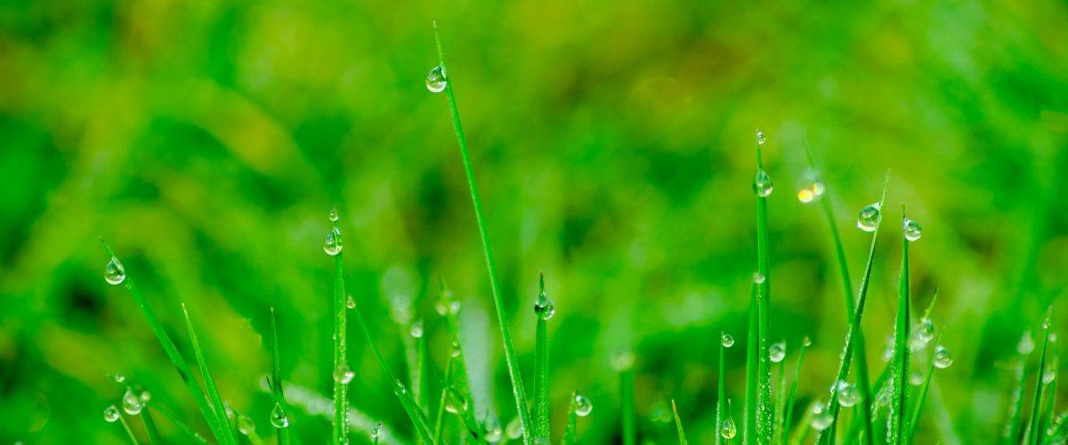 Bábolna: az első energiaközösség